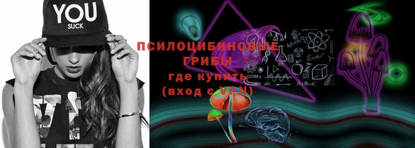 круглые Туринск